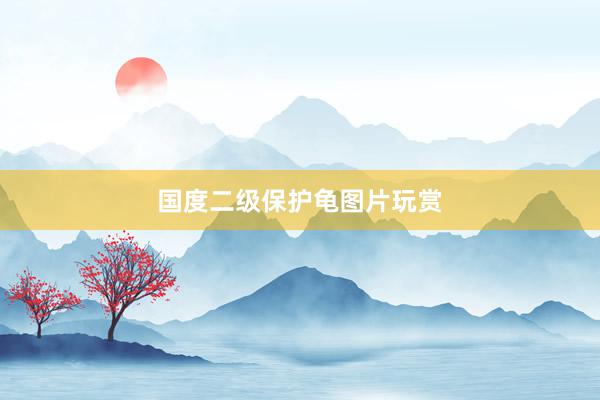 国度二级保护龟图片玩赏