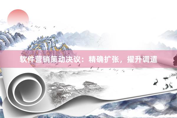 软件营销策动决议：精确扩张，擢升调遣