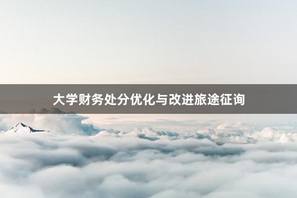 大学财务处分优化与改进旅途征询